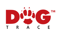 Canvas Logo